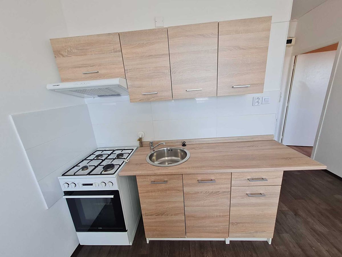 Pronájem bytu 1+1 39 m² – fotografie 3