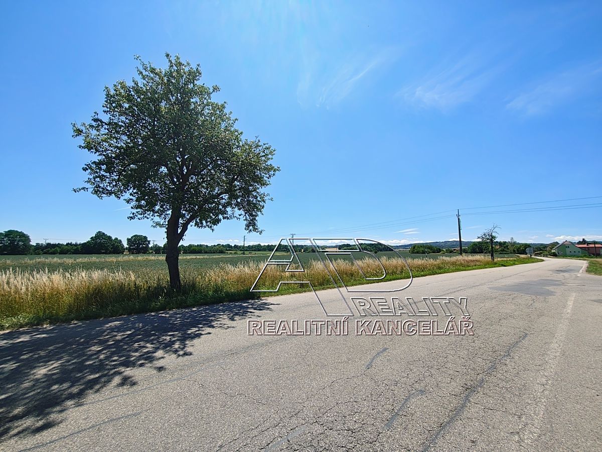 Prodej pole 3872 m² – fotografie 5