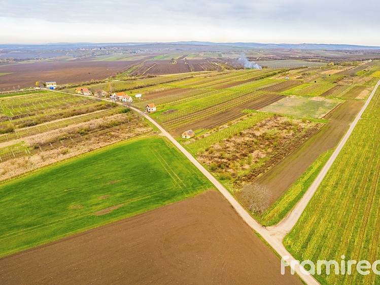 Prodej pozemku, 3 646 m² (2 z 10)