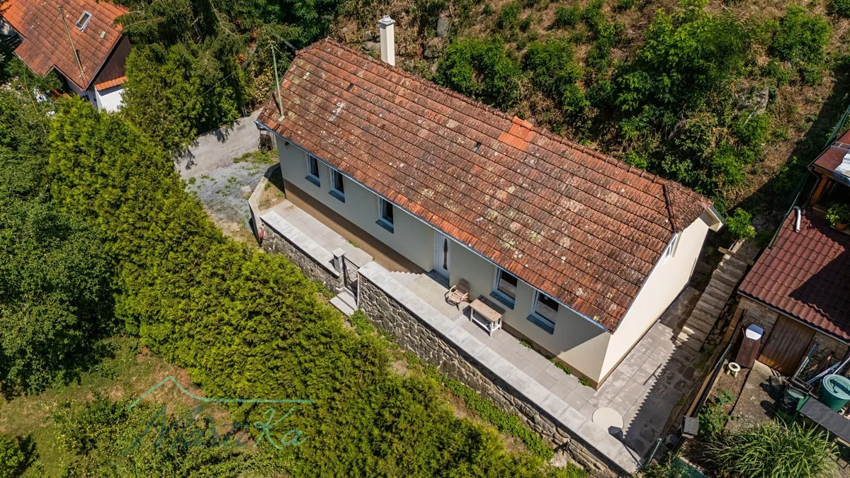 Fotka 19 z 26