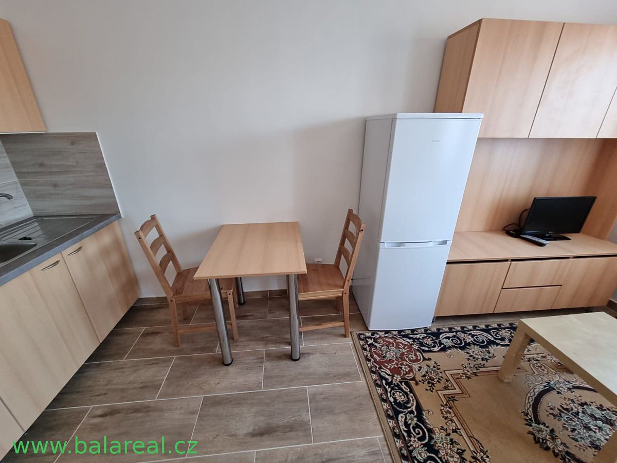 Pronájem bytu 1+kk 29 m²
