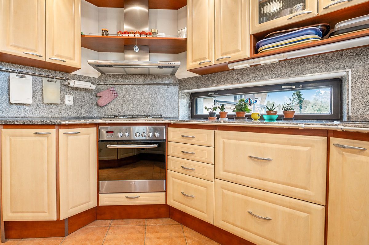 Prodej rodinného domu 282 m², pozemek 675 m² – fotografie 3