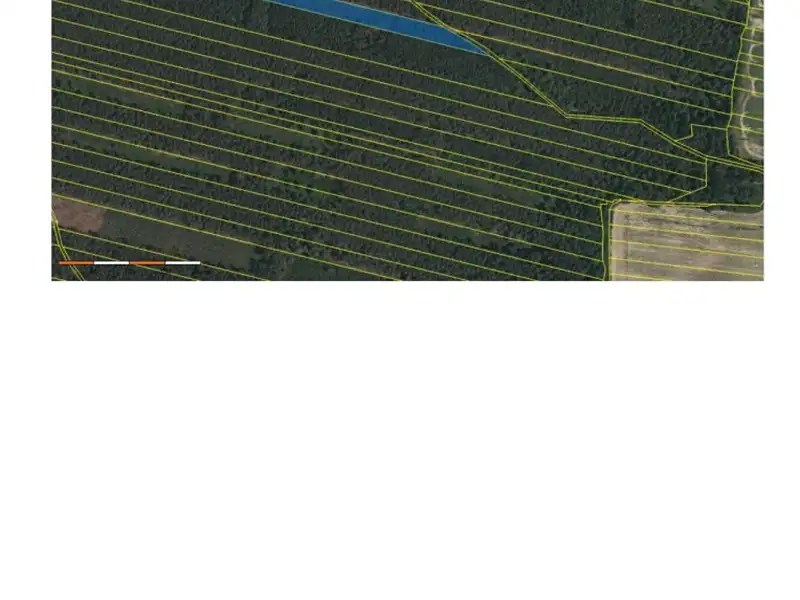 Prodej lesa 32388 m², Třeboň – náhled fotky 3