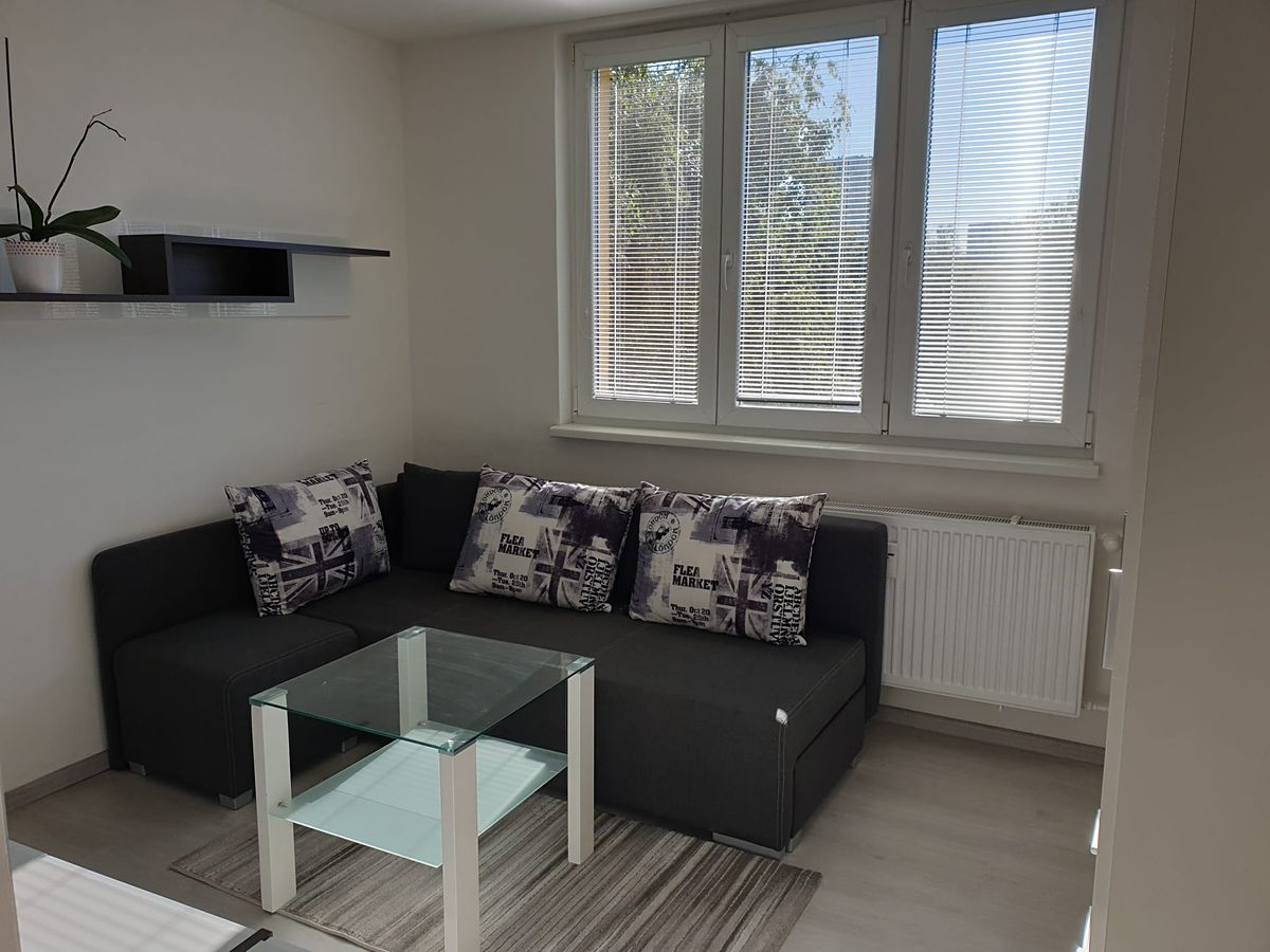 Pronájem bytu 1+kk 26 m²