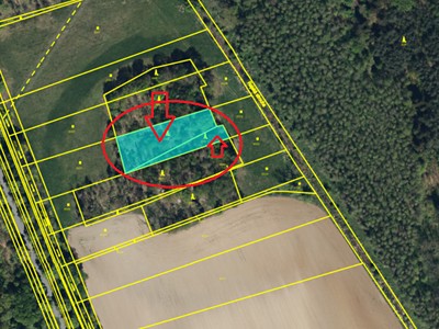 Prodej podílu 1/3  lesa 890 m²