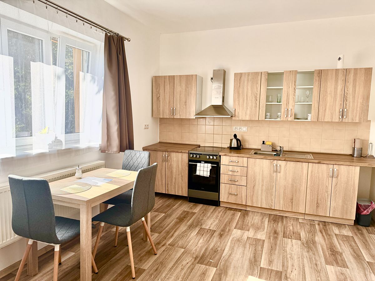 Pronájem bytu 1+1 55 m²