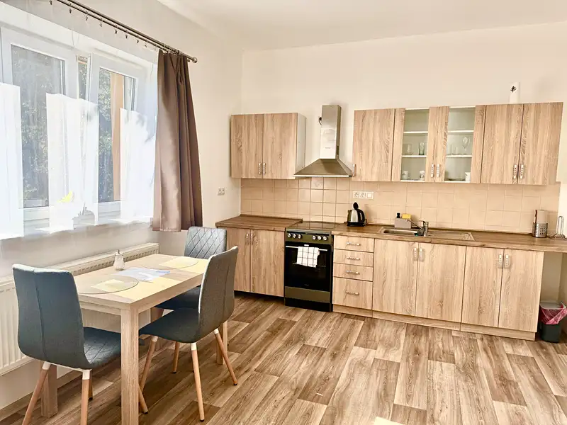 Pronájem bytu 1+1 55 m², Olomouc – náhled fotky 1