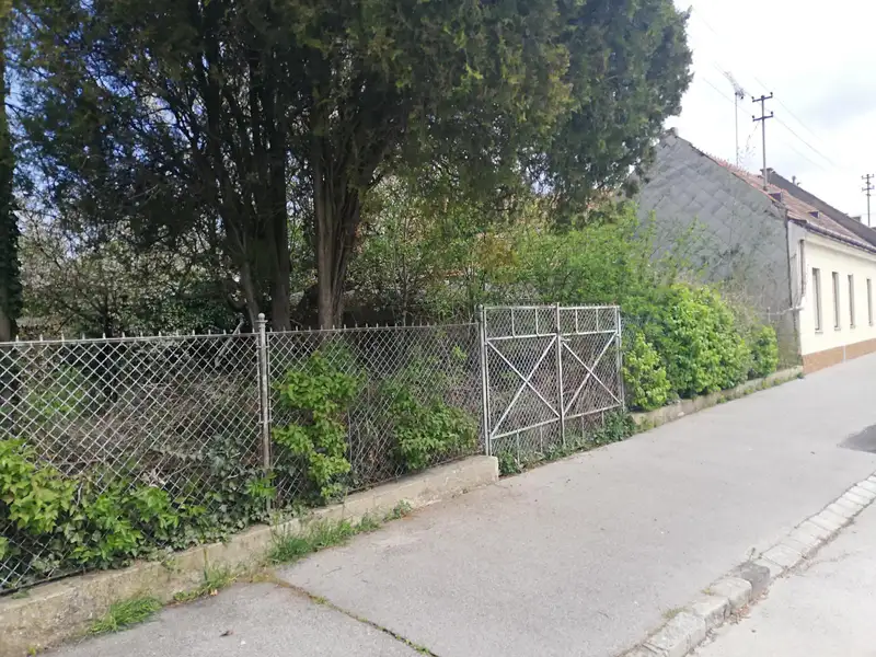 Prodej rodinného domu 110 m², pozemek 1455 m², Bernhardsthal – náhled fotky 3