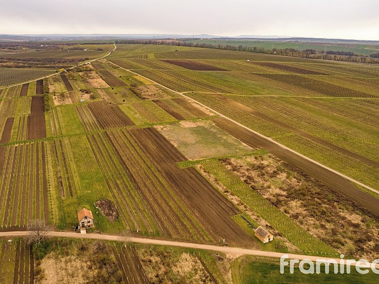 Prodej pozemku, 3 646 m² (6 z 10)