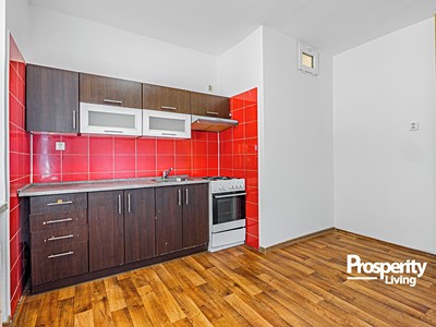 Prodej bytu 1+1, 33 m² (3 z 24)