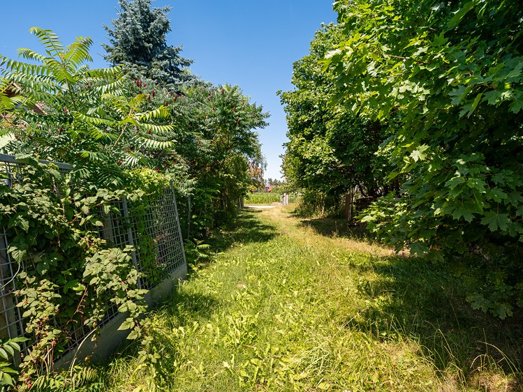 Prodej pozemku, 4 800 m² (11 z 12)