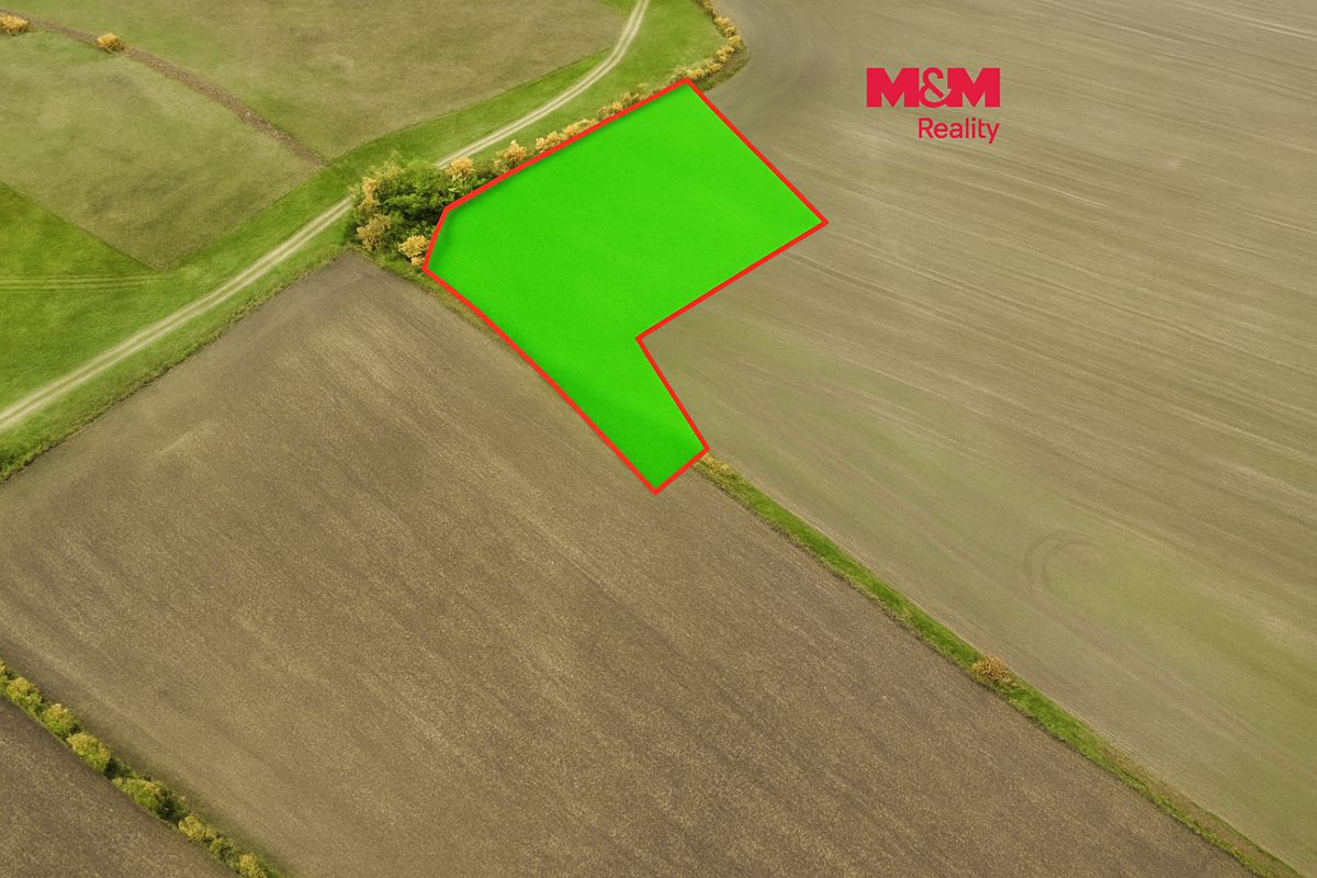 Prodej pole 7125 m²