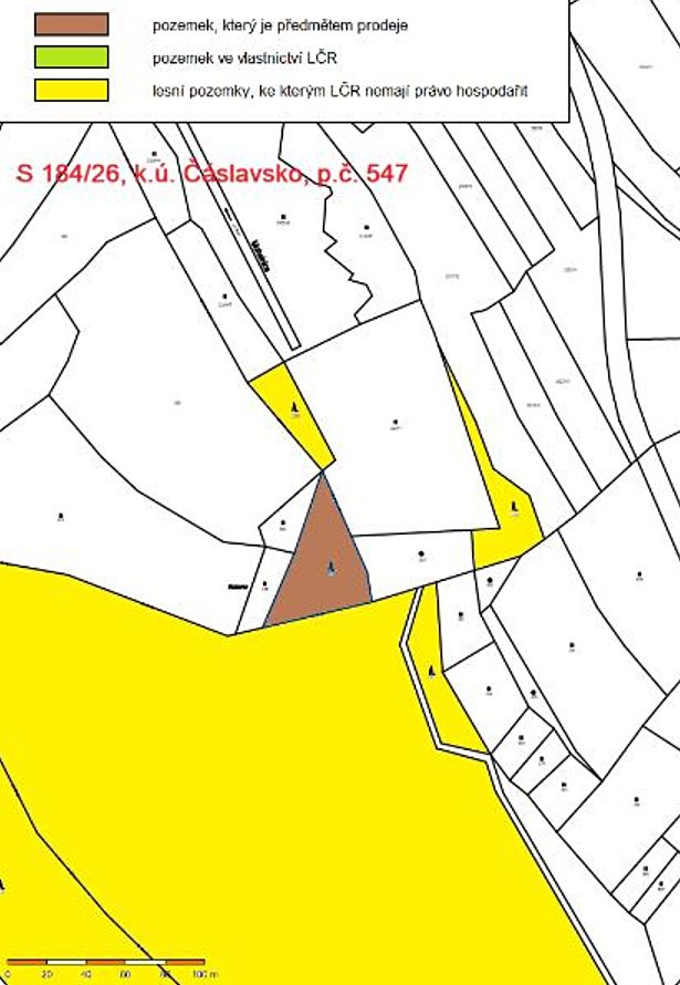 Prodej lesa 2039 m² – fotografie 3