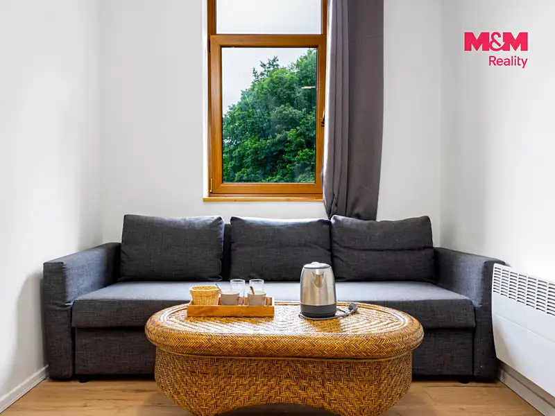 Prodej bytu 1+kk 20 m², Horní Lhota – náhled fotky 3