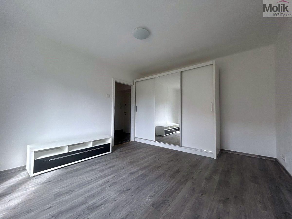 Pronájem bytu 1+1 30 m² – fotografie 4