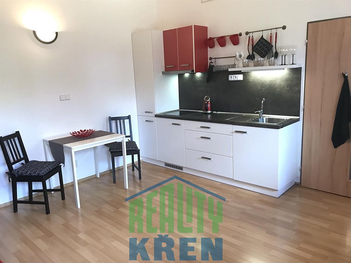 Pronájem bytu 1+kk 30 m²
