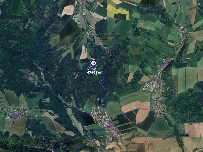 Prodej lesa 43911 m², Olšovec – náhled fotky 2