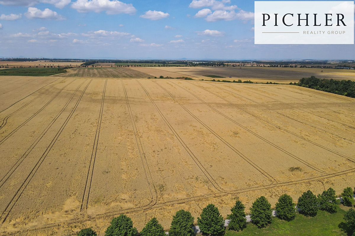 Prodej pole 11096 m² – fotografie 2