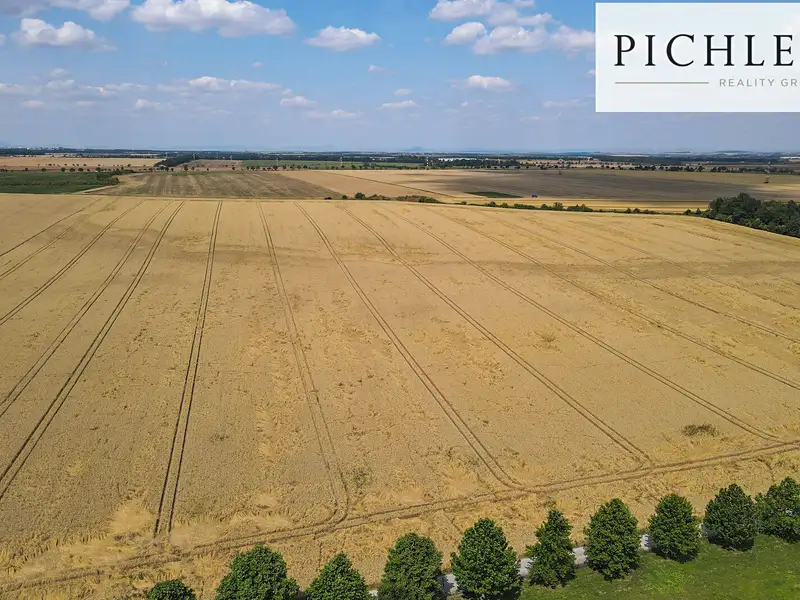 Prodej pole 11096 m², Červený Újezd – náhled fotky 2