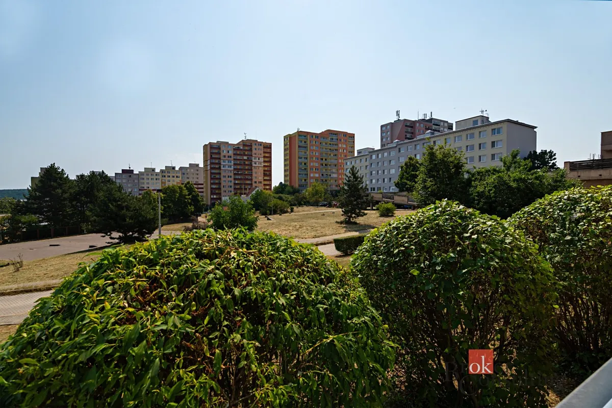 Fotka 7 z 14