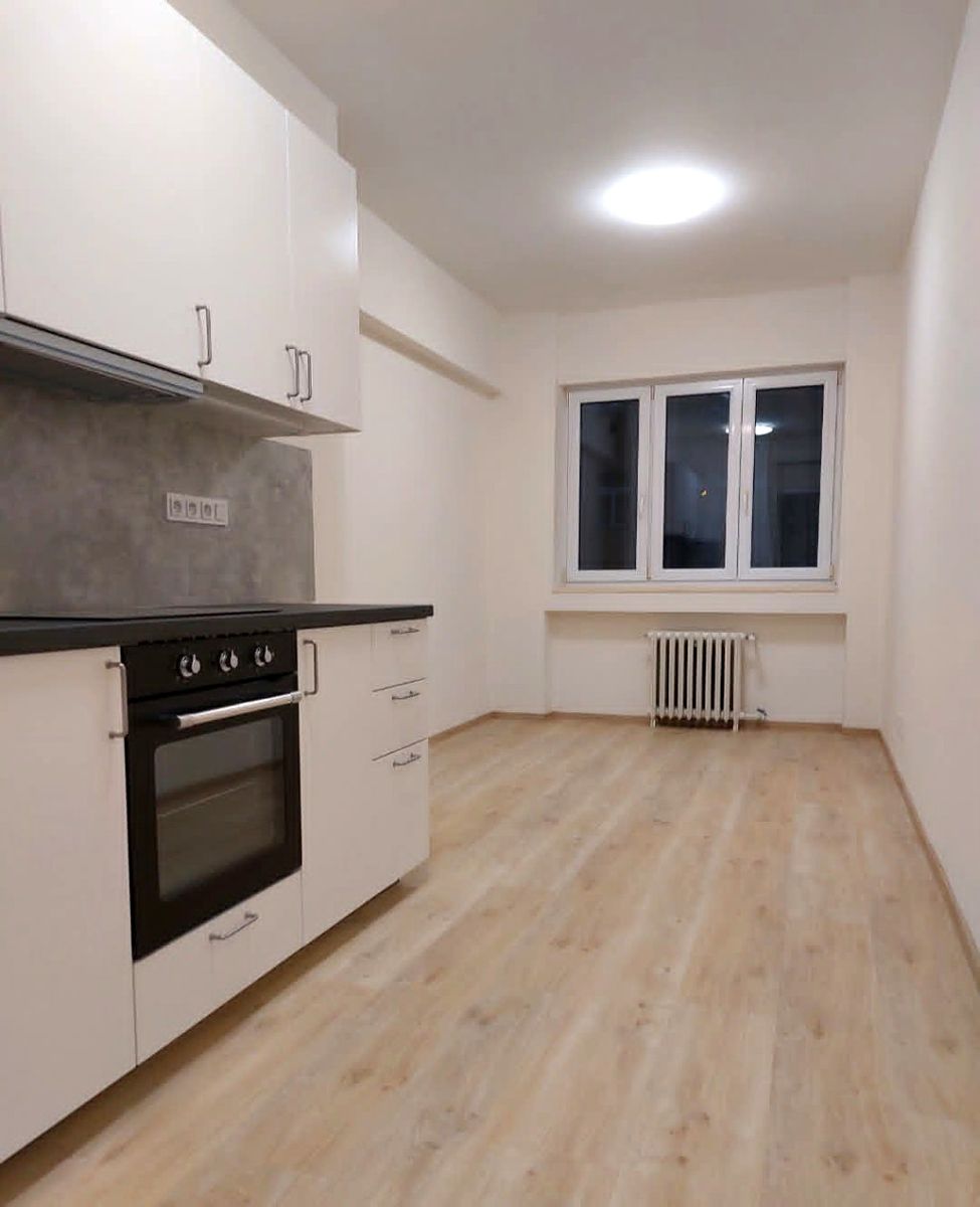 Pronájem bytu 1+1 50 m²