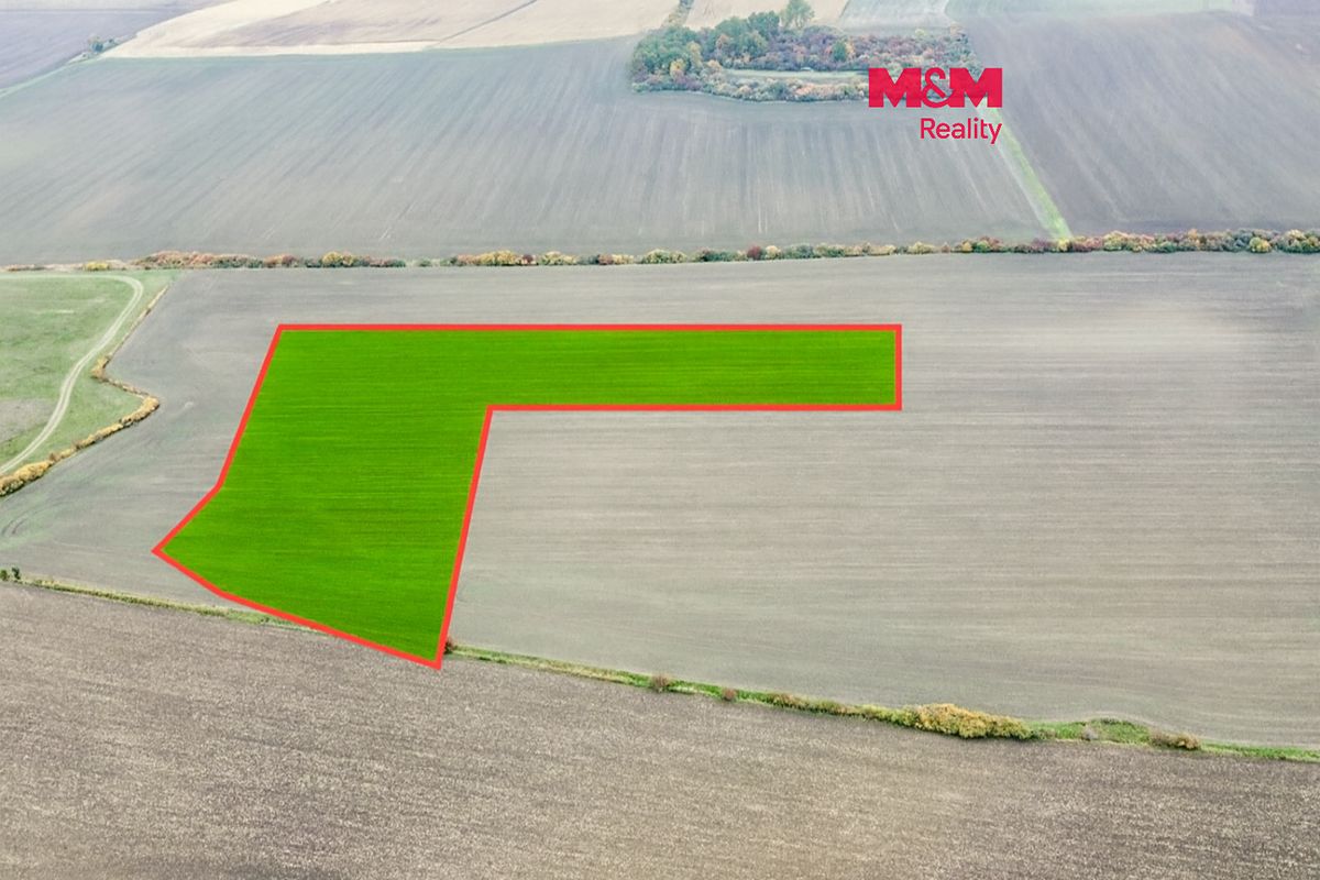 Prodej pole 26969 m²