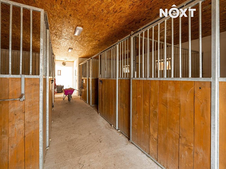 Prodej komerčního prostoru, 550 m² (14 z 34)