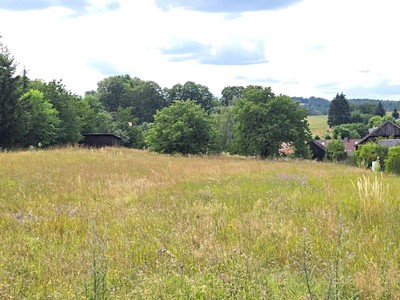 Grundstück zum Kauf, 1.603 m² (3 von 10)