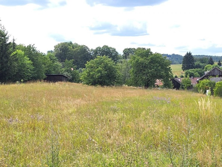 Grundstück zum Kauf, 1.603 m² (3 von 10)