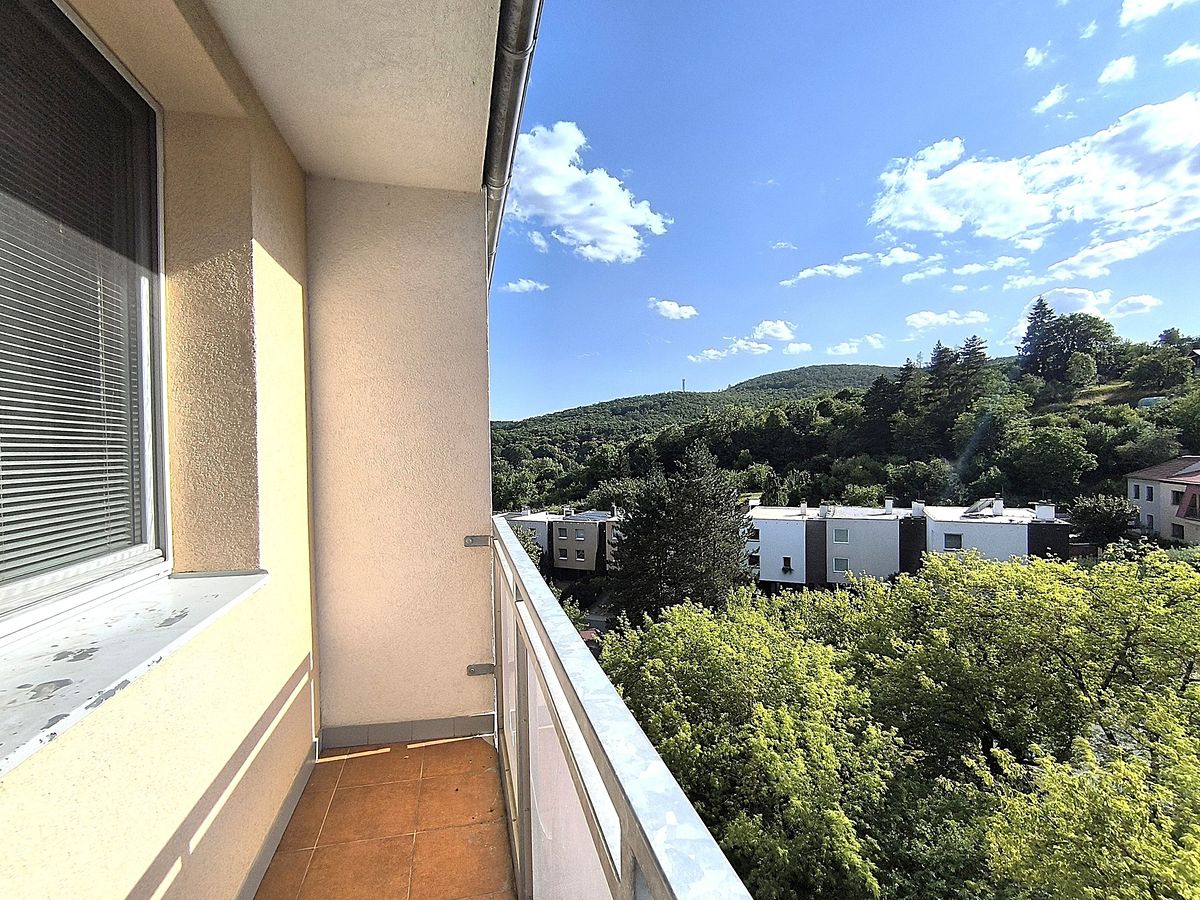 Pronájem bytu 1+1 40 m²