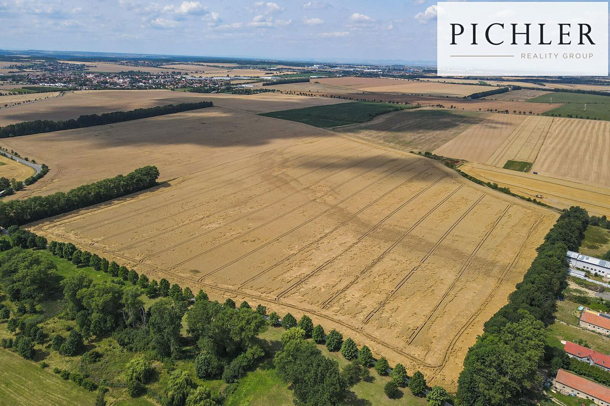 Prodej pole 11096 m² – fotografie 4