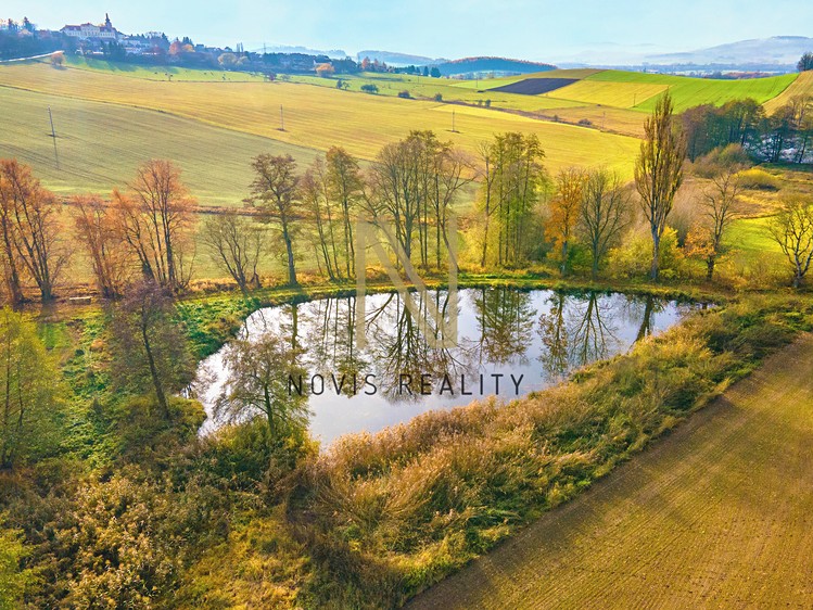 Prodej pozemku, 2 713 m² (7 z 12)