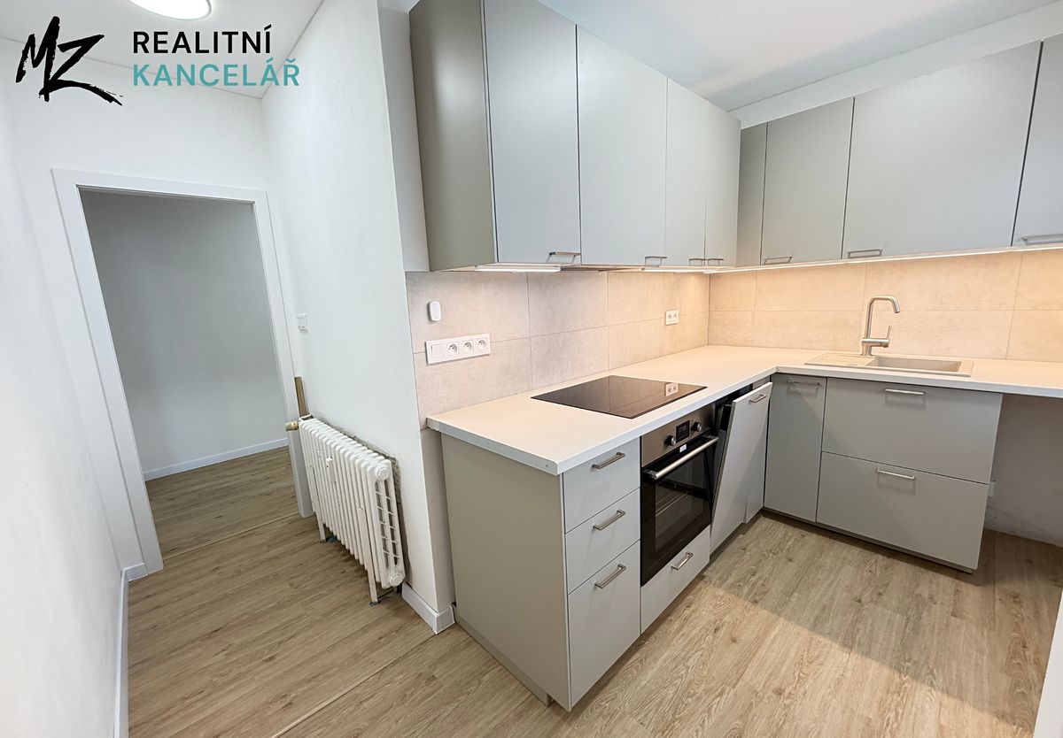 Pronájem bytu 2+1 49 m²