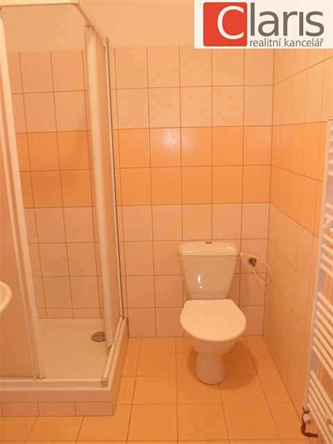 Pronájem bytu 1+kk 31 m² – fotografie 4
