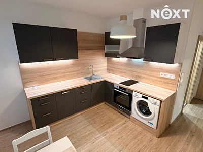Pronájem bytu 1+1 37 m²