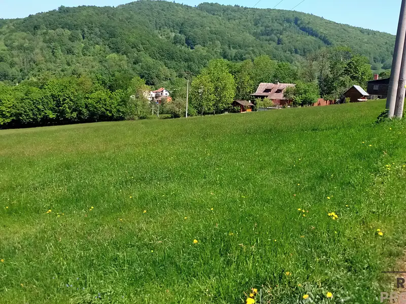 Prodej pozemku 3304 m², Rusava – náhled fotky 1