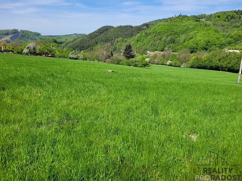 Prodej pozemku 3304 m², Rusava – náhled fotky 3