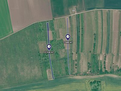 Prodej sadu, vinice 3926 m²