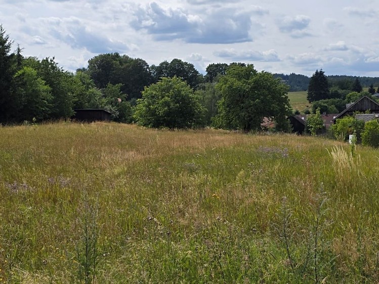 Grundstück zum Kauf, 1.603 m² (7 von 10)