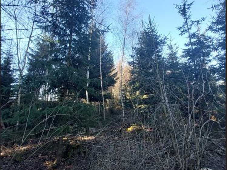 Grundstück zum Kauf, 3.140 m² (1 von 7)