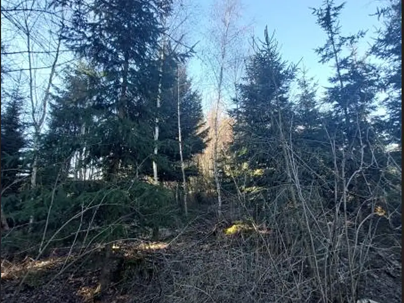 Prodej lesa 3140 m², Čáslavsko – náhled fotky 1