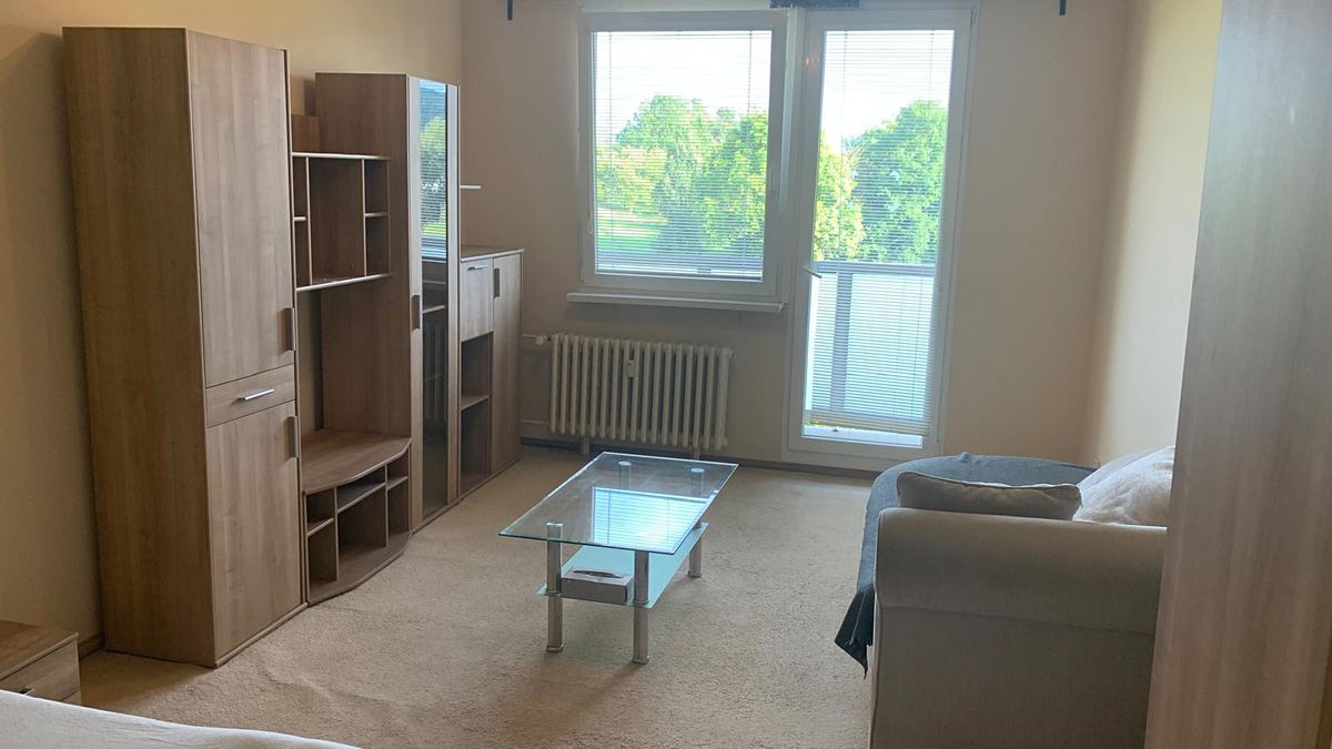 Pronájem bytu 1+1 33 m²