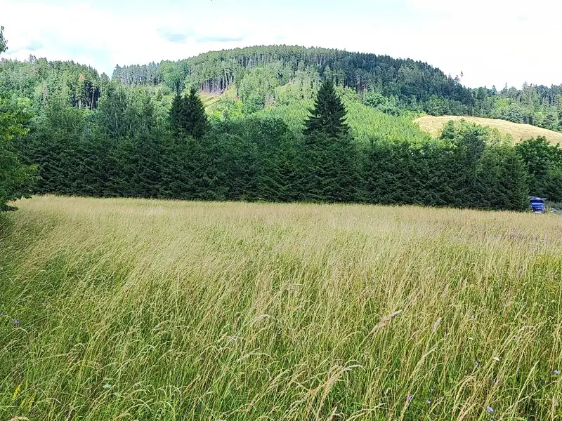 Prodej stavebního pozemku 1437 m², Dolní Lánov – náhled fotky 3