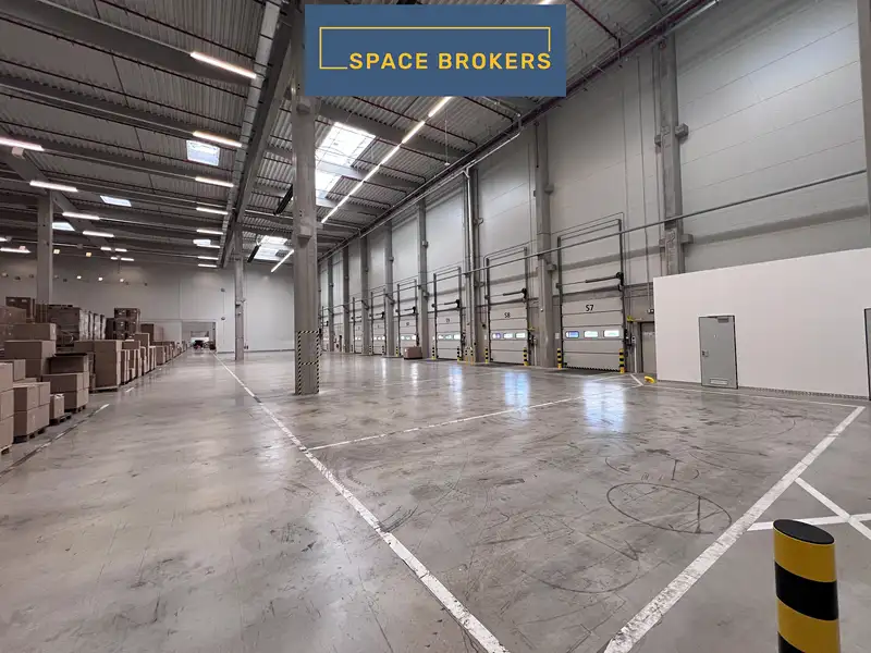 Pronájem skladového prostoru 8785 m², Holubice – náhled fotky 3