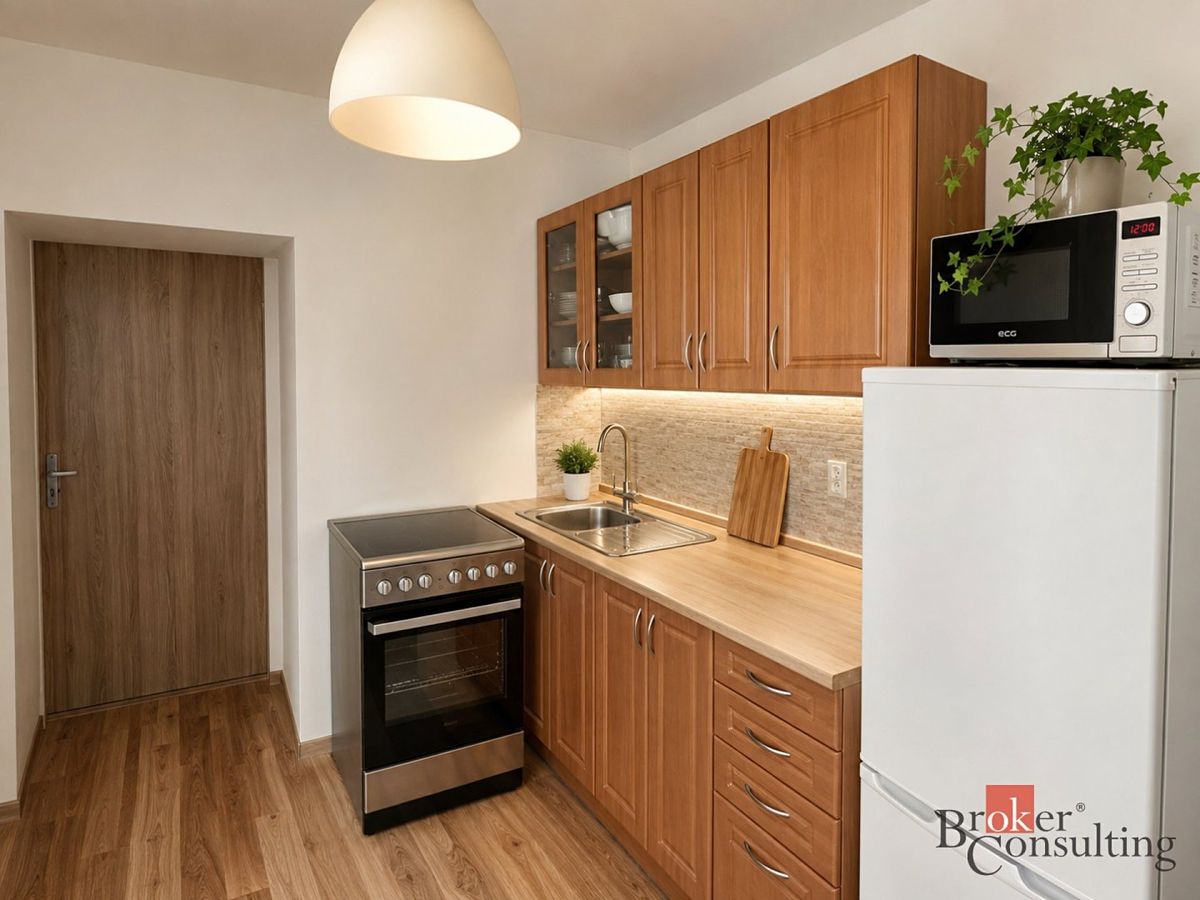 Prodej činžovního domu 298 m² – fotografie 3