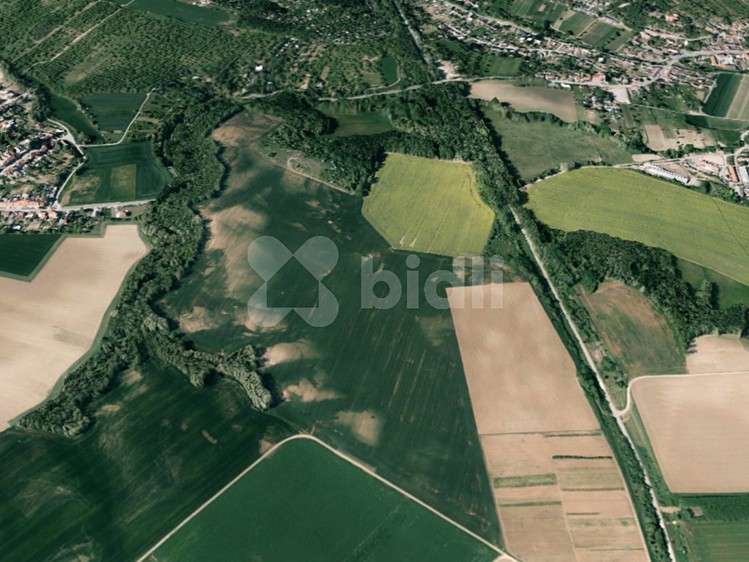 Ostatní