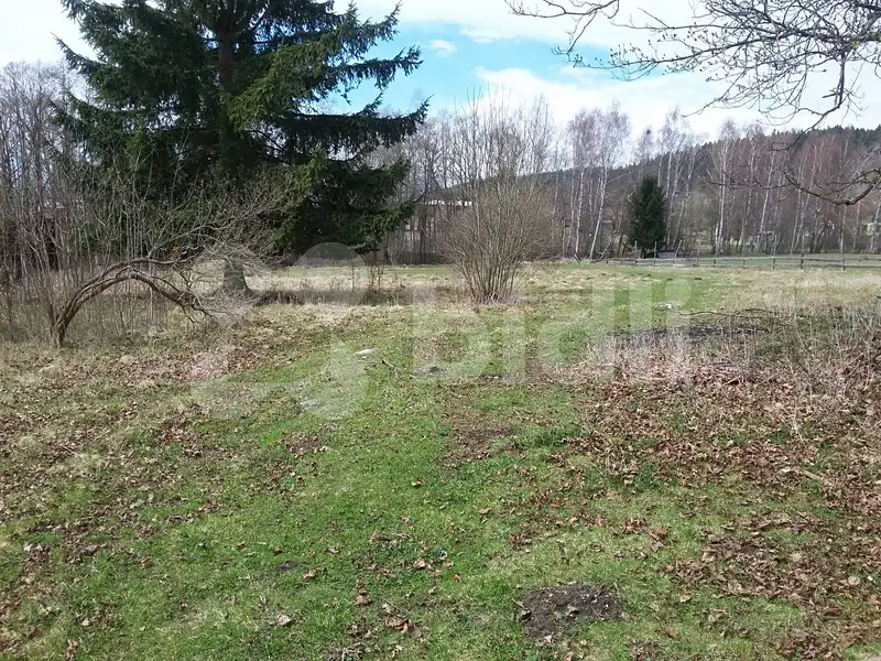 Prodej stavebního pozemku 3355 m², Horní Planá – náhled fotky 3