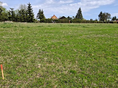 Prodej  louky 1 013 m²