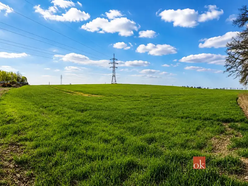 Prodej pole 54936 m², Říčany – náhled fotky 3