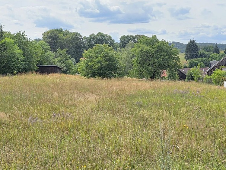 Grundstück zum Kauf, 1.603 m² (5 von 10)
